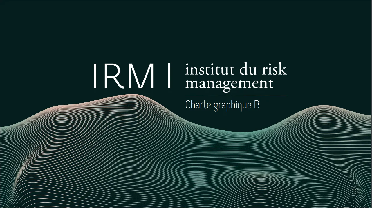 Institut du Risk Management — visuel 1