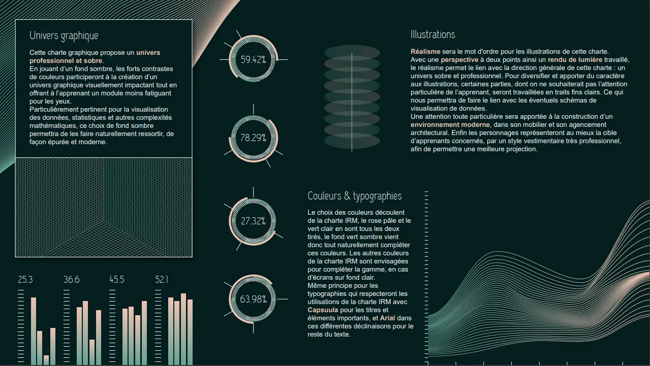 Institut du Risk Management — visuel 3